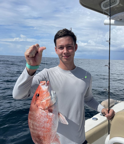Solid snapper action!